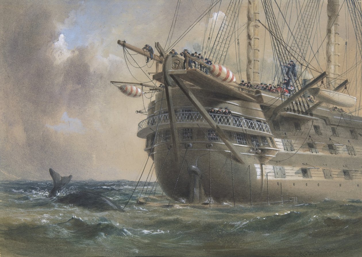 Robert_Charles_Dudley_-_HMS_Agamemnon_Laying_the_Atlantic_Telegraph_Cable_in_1858_.jpg