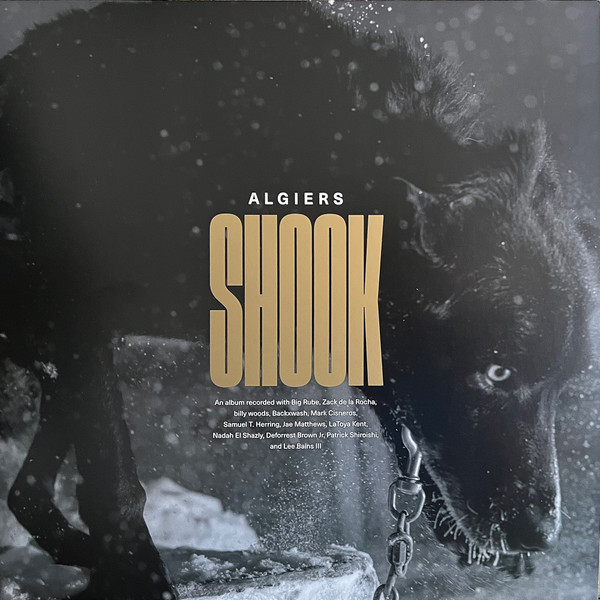 Algiers - Shook.jpg