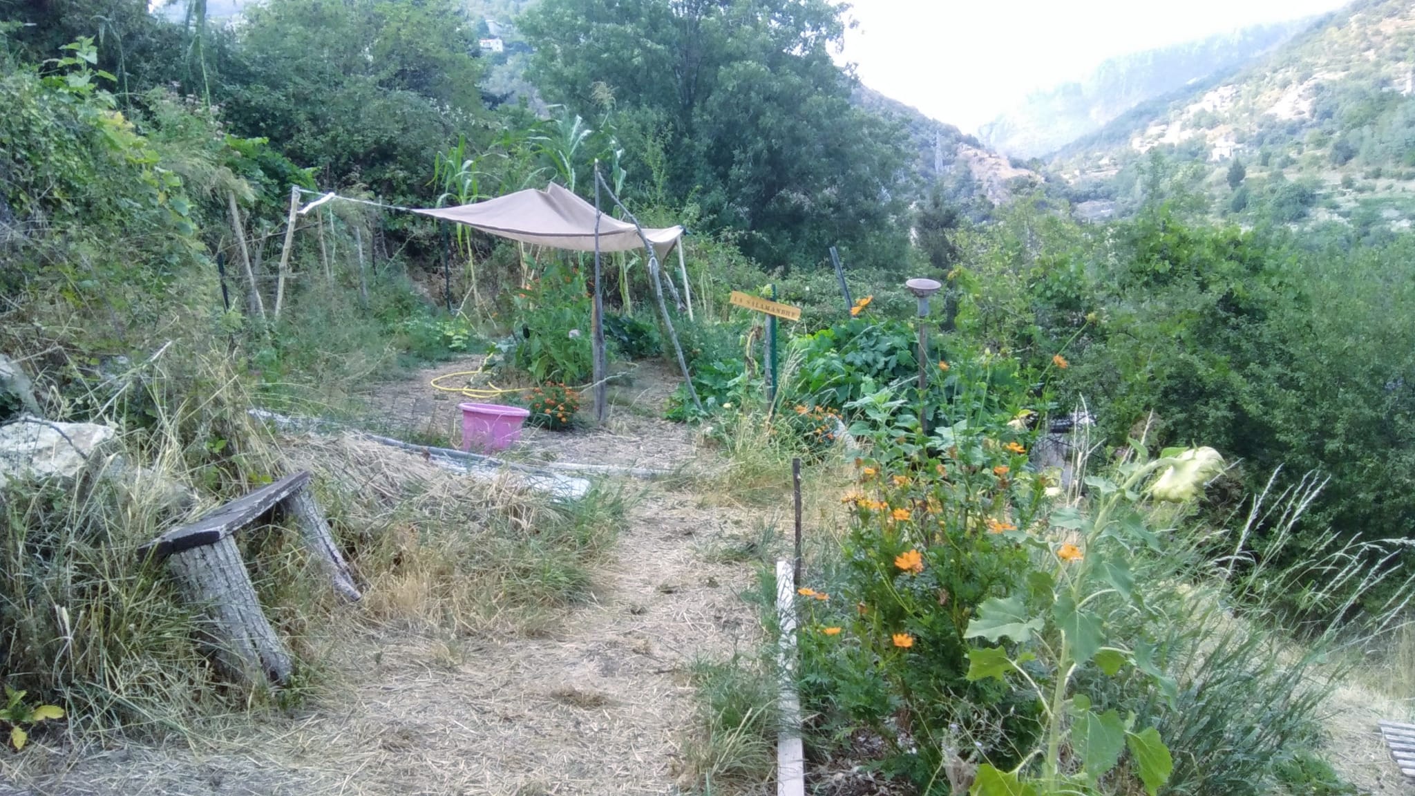 WhatsApp Image 2026-08-13 at 18.26.22.jpeg