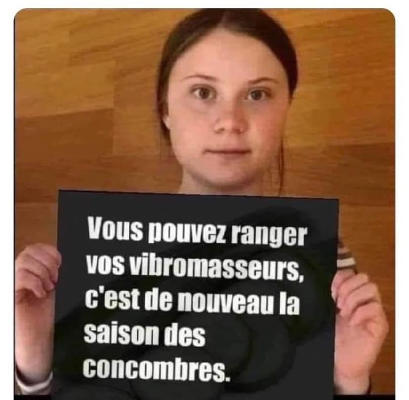 vegenocidaire.jpeg