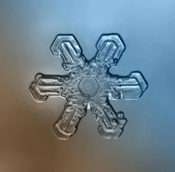R-14979851-1585042960-6101.jpg