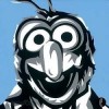 Avatar de l’utilisateur