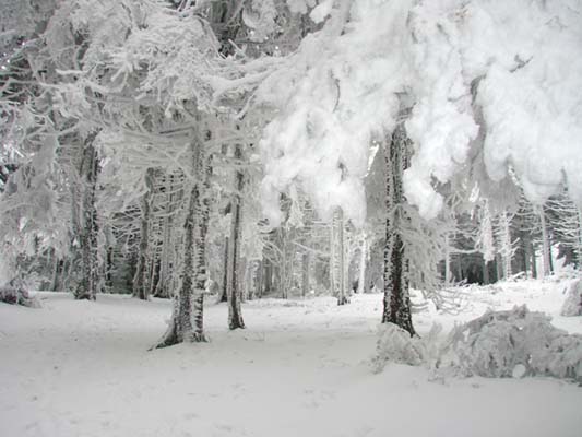 paysage5.jpg