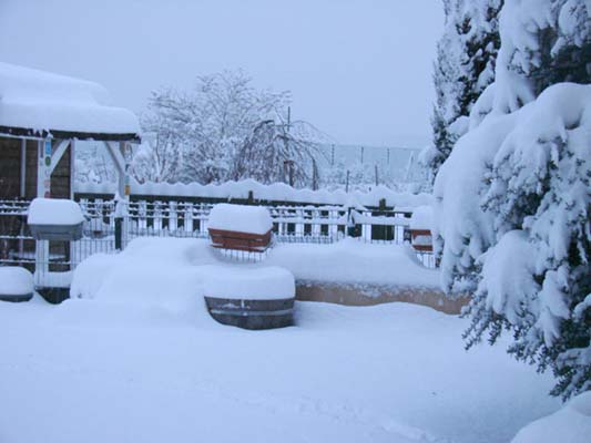 neige2.jpg