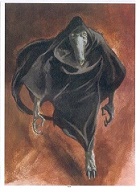 Avatar de l’utilisateur