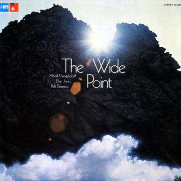 widepoint.jpg